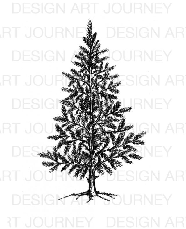 AJ Christmas Tree Single