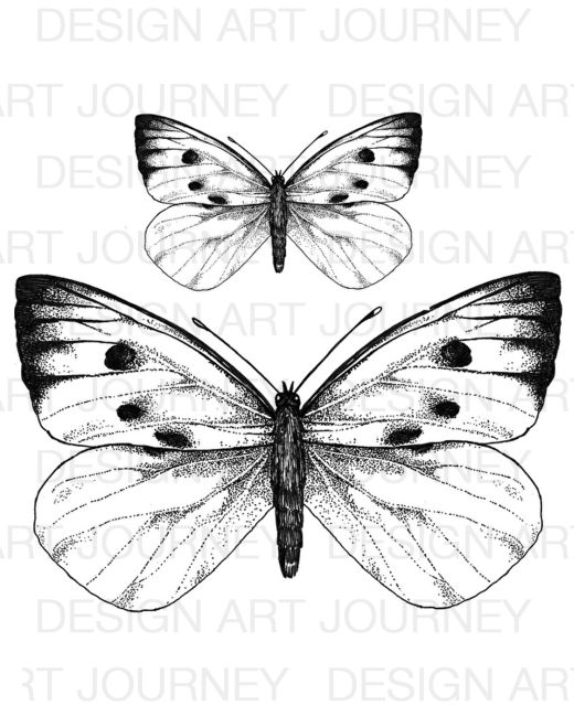 AJ White Butterflies