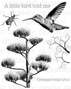 AJ Bird