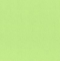 Bazzill Lime Sherbet