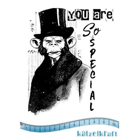 Katzelkraft So Special