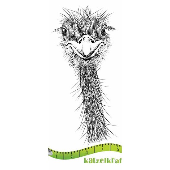 Katzelkraft Autruche