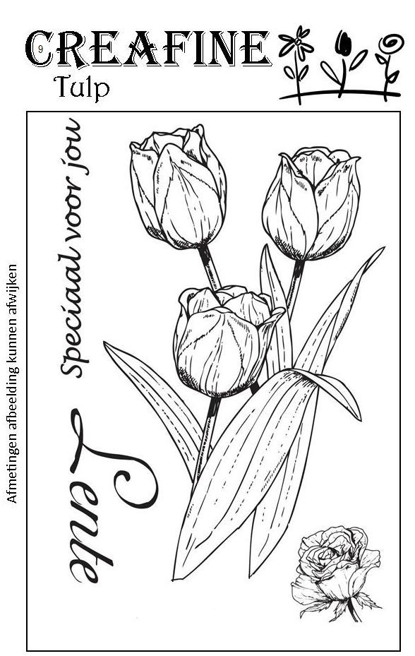 Creafine 009 Tulp