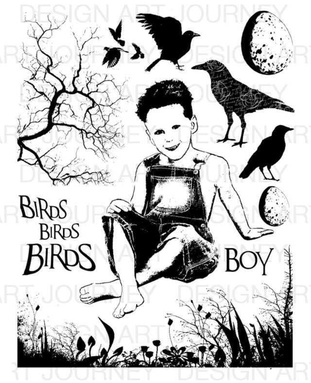 AJ Bird Boy