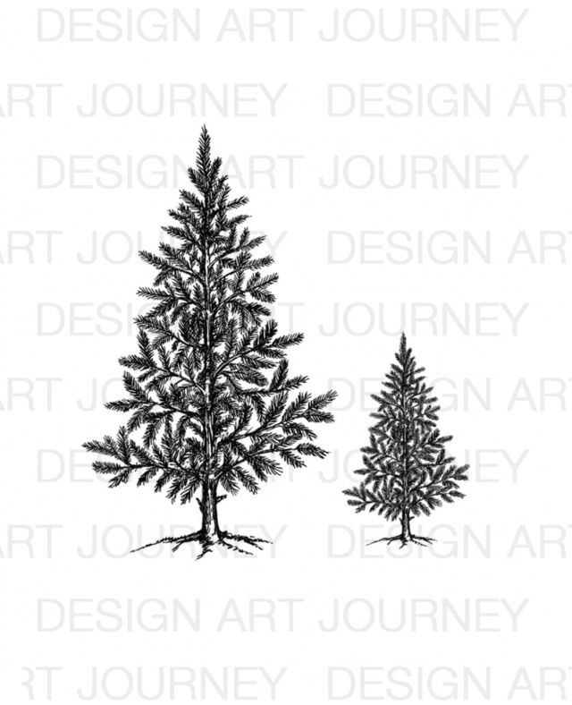 AJ Christmas Trees Single Small