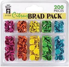 Hot of the Press Citrus Brad Pack