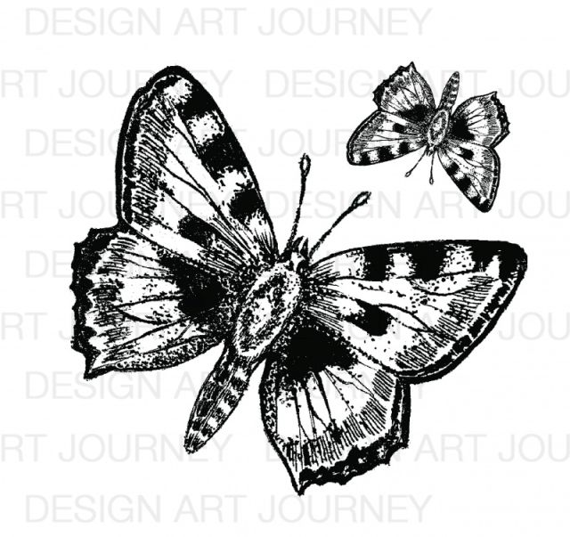 AJ Butterflies