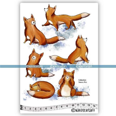 Katzelkraft Les Renards