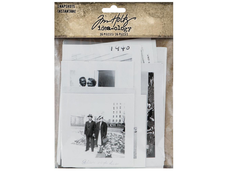 Tim Holtz Snapshots