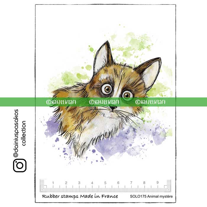 Katzelkraft L'animal mystere